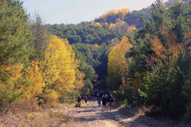 Akdağmadeni Ormanlarında Öğretmenler Doğa Yürüyüşü Yaptı