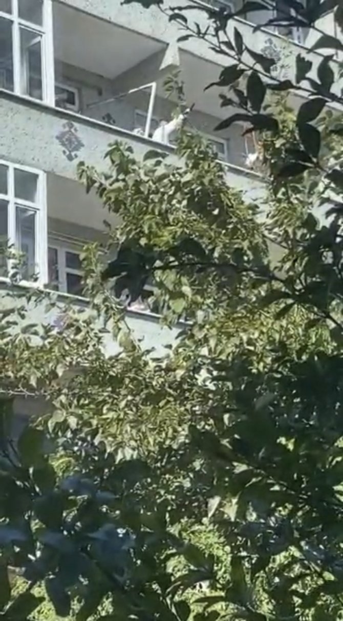 İ̇stanbul’da Maganda Dehşeti Kamerada: Yurtdışından Gelip Baldızının Düğününde Ateş Açtı