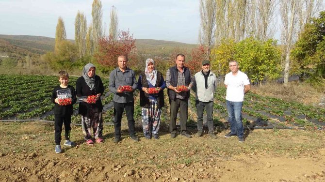 Köylü Kadınların Hayatı Bir Fide İle Değişti...köyün Tamamı 7 Ay Çilek Üretiyor