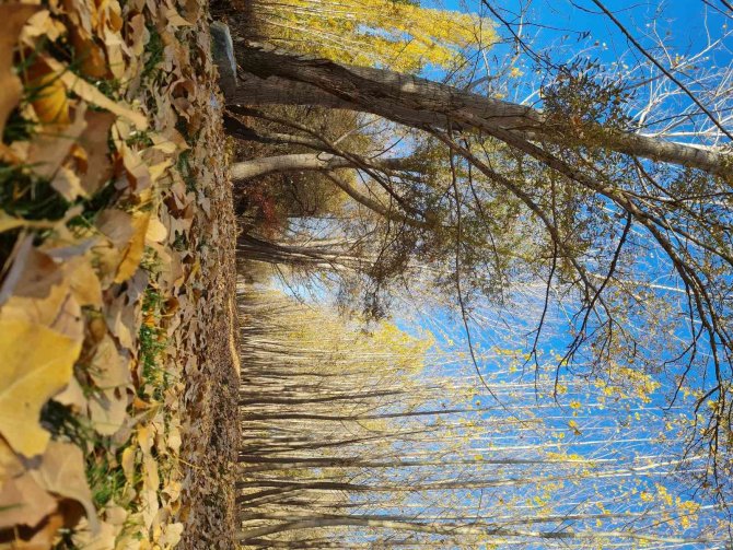 Fotoğraf Tutkunları Sonbaharın En İyi Karesini Yakalamak İçin Kamera Arkasına Geçti