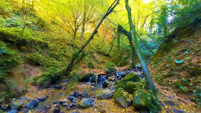 Sonbaharın Renkleri İle Nüzhetiye Şelalesi Birleşti, Eşsiz Görüntüler Ortaya Çıktı