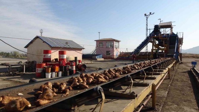 Şeker Pancarından Muş Ekonomisine 1 Milyar 400 Milyon Liralık Tatlı Katkı