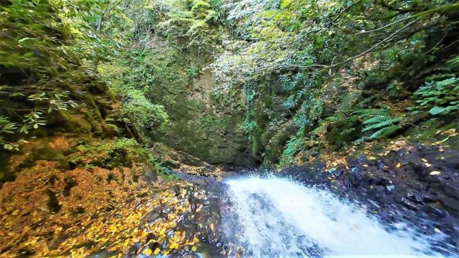 Sonbaharın Renkleri İle Nüzhetiye Şelalesi Birleşti, Eşsiz Görüntüler Ortaya Çıktı