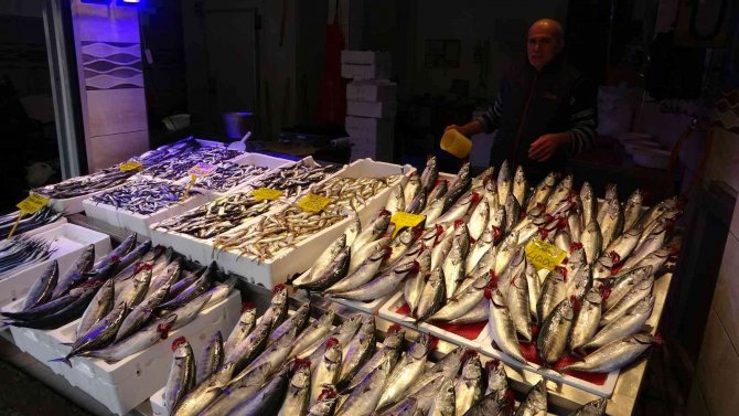 Palamut Avında Düşüş, Diğer Balık Çeşitlerinin Avında İse Artış Yaşanıyor