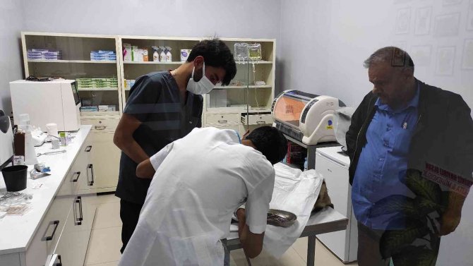 Ölüme Terk Ettiği Köpek Gece Yarısı Ameliyata Alındı