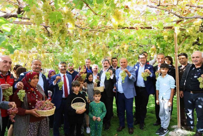 Arsa Mahallesi Agro Turizm Merkezi Oluyor