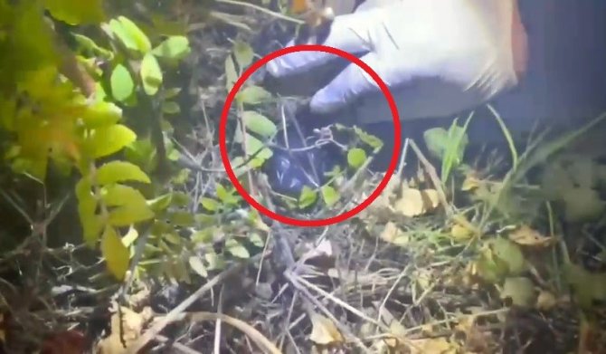 Sinop’ta Çalılıkta Saklanmış Metamfetamin Ele Geçirildi