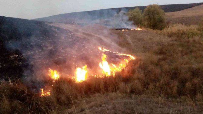 Tekirdağ’da 700 Dönüm Anız Alev Alev Yandı