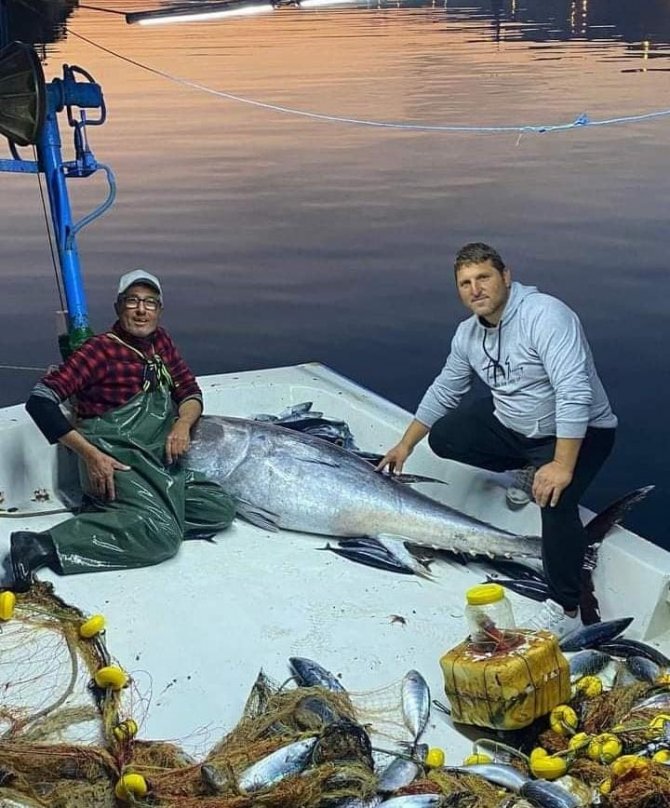 Palamudun Peşine Düşen Orkinos Ağlara Takıldı
