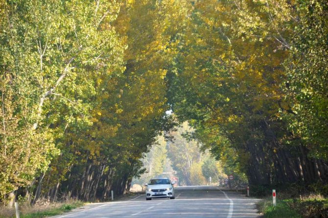 Ağaçların Oluşturduğu Sonbahar Tüneli Hayran Bırakıyor