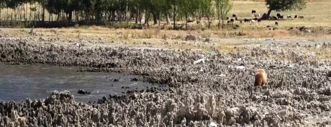 Van Gölü Havzası’nda Su Krizi Tehlikesi