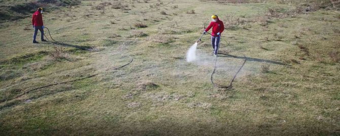 Yoncalı Meraları Kene Zararlısına Karşı İlaçlandı