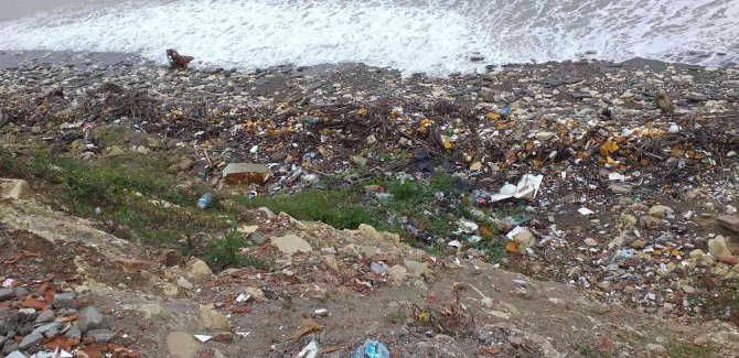 Alaplı Sahili Adeta Çöplüğe Döndü