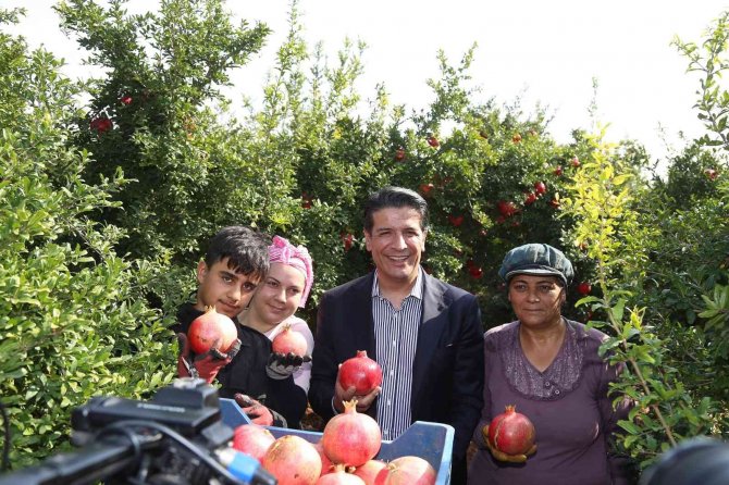Döşemealtı’nda Nar Çalıştayı Düzenlenecek