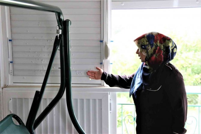 Yıkamak İçin Balkonuna Çıkan Kadın, Gördüğü Manzara Karşısında Dehşete Kapıldı