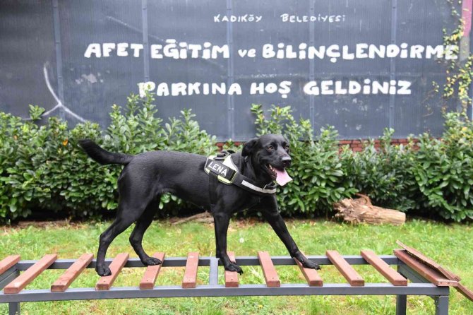 Afetler Karşısında Dirençli Kadıköy