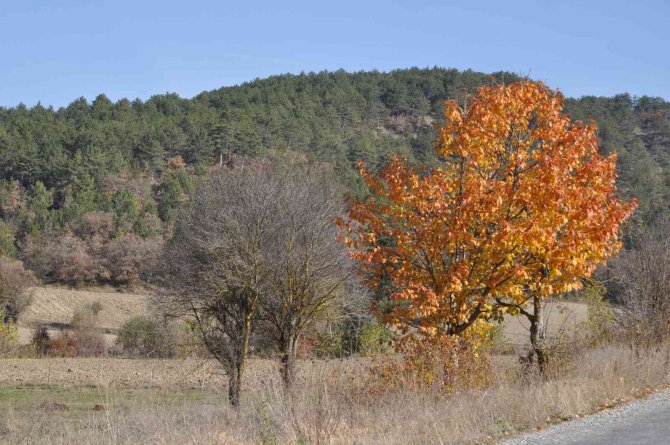 "Sakin Şehir" Ünvanlı Mudurnu’da Sonbahar Güzelliği