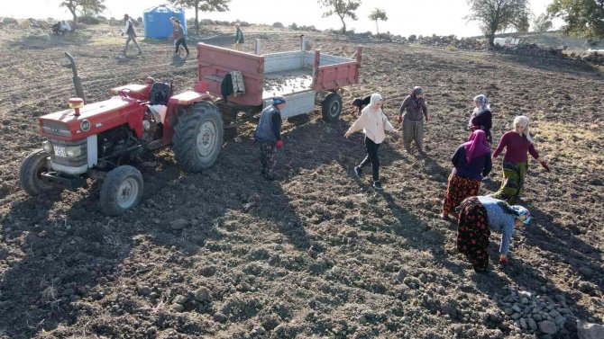 Gönen’e 500 Kaz Yetiştirme Tesisi Ve Kazevi Projesi