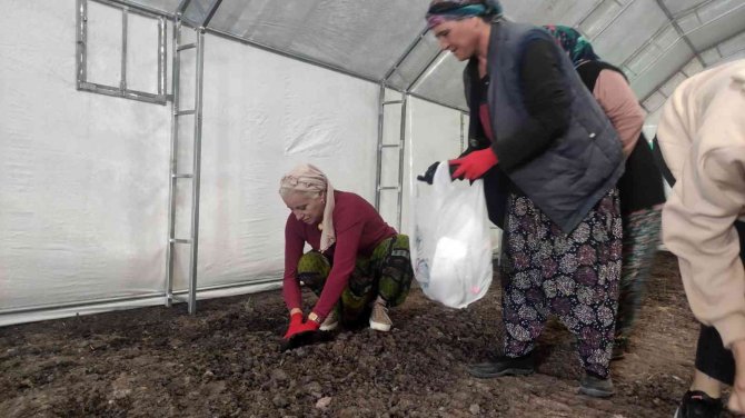 Gönen’e 500 Kaz Yetiştirme Tesisi Ve Kazevi Projesi