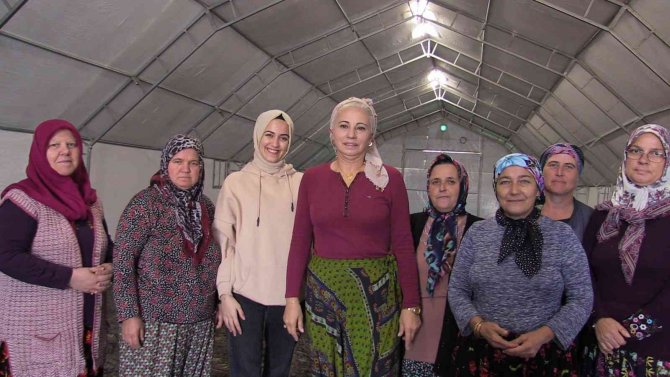 Gönen’e 500 Kaz Yetiştirme Tesisi Ve Kazevi Projesi