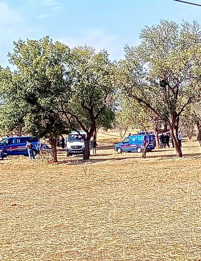 Koyunlarını Beslemek İçin Çıktığı Ağaçtan Düşüp Öldü
