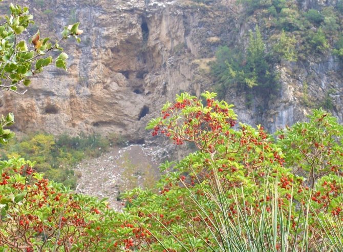 Koçak Kanyonu, Vahşi Depolama Alanına Döndü