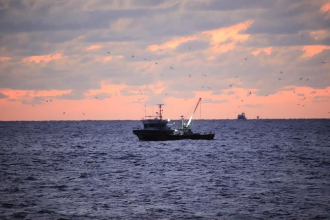 Şile Palamut Festivali Başlıyor