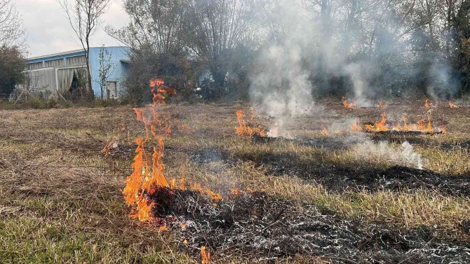 Bahçesindeki Otları Yakarken Yangın Çıkardı