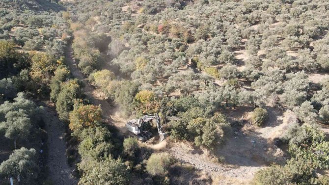 Efeler Belediyesi Zeytinlik Yollarını Açıyor