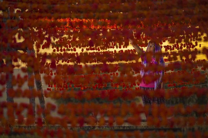 ‘Gaziantep’te Hasat Mevsimi Fotoğraf Yarışması’na Başvurularda Son Hafta