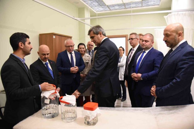 Karadağ İle Üniversiteler Arası İşbirliği