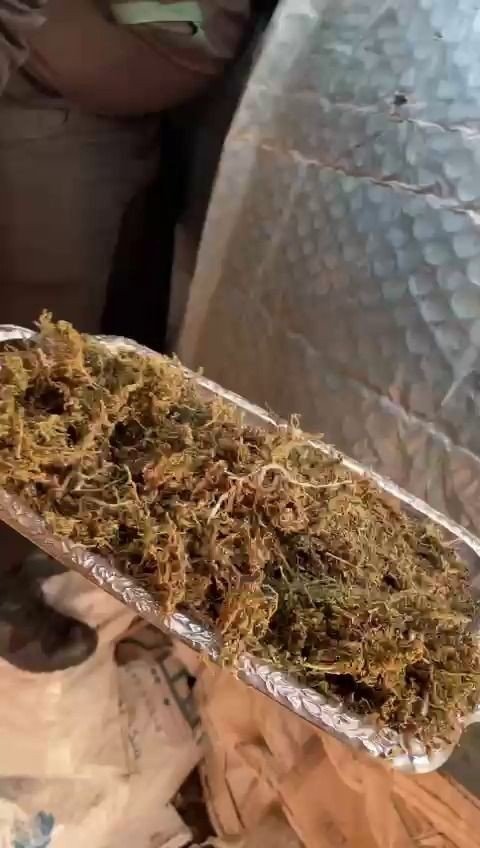 Kırklareli’nde Bir Evde 1 Kilo 91 Gram Esrar Ele Geçirildi