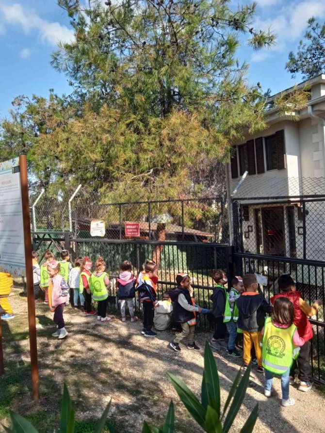 Barınak Öğrencilerle Dolup Taşıyor