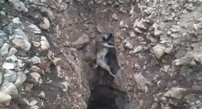 Definecilerin Açtığı Çukura Düştü, İtfaiye Kurtardı