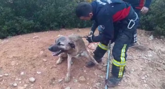 Definecilerin Açtığı Çukura Düştü, İtfaiye Kurtardı