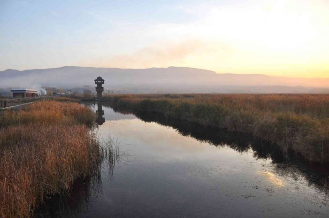 Sığırcık Kuşlarının Gün Batımı Dansı Hayran Bıraktı