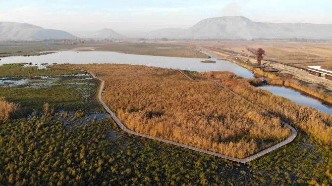 Sığırcık Kuşlarının Gün Batımı Dansı Hayran Bıraktı