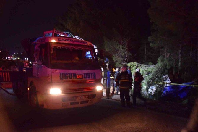 Adana’da Elma Yüklü Kamyon Fabrika Bahçesine Uçtu, Sürücü Hayatını Kaybetti