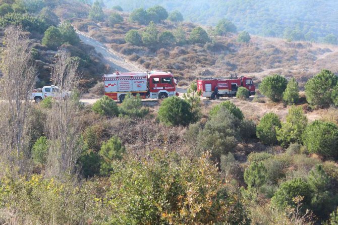 Bandırma Çalışkanlar Mahallesinde Ormanlık Alanda Ki Yangın Kontrol Altına Alındı