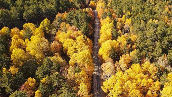 Sonbaharın Renkleri Görsel Şölene Dönüştü