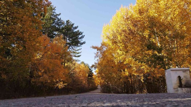 Sonbaharın Renkleri Görsel Şölene Dönüştü