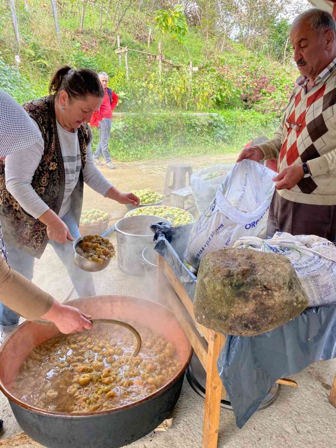 Giresun’da Yılda Üretilen 5 Bin Ton Elma Ekonomiye Kazandırılacak