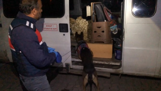 Jandarmanın Arama Yaptığı Sarımsak Yüklü Minibüsten Uyuşturucu Çıktı: 1 Gözaltı