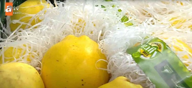 Canlı Yayında Tanıtıldı, Kooperatif Sipariş Yağmuruna Tutuldu