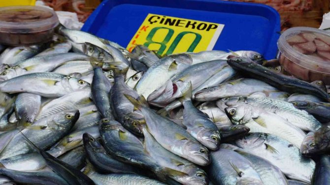 Hava Soğudu, ‘Çinekop’ Bereketi Yaşandı