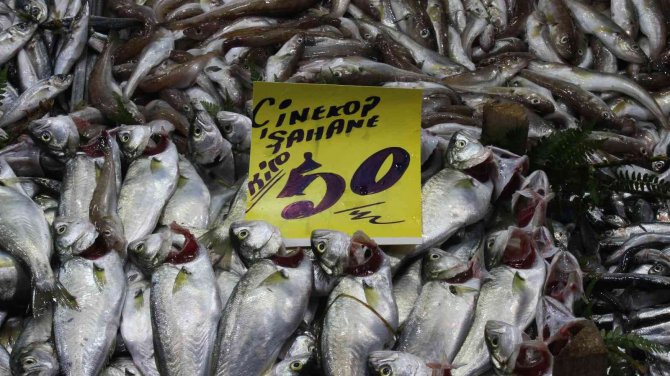 Hava Soğudu, ‘Çinekop’ Bereketi Yaşandı