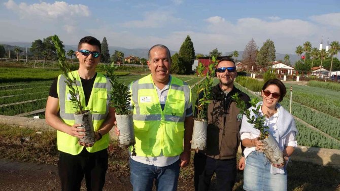 Marmarisli Gönüllüler Binlerce Fidan İle 11 Kasım’a Hazırlanıyorlar