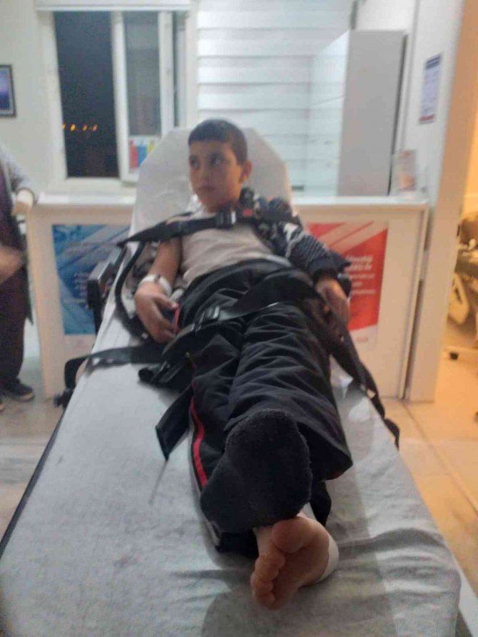 Kuduz Teşhisi Konulan Çocuk Hayatını Kaybetti