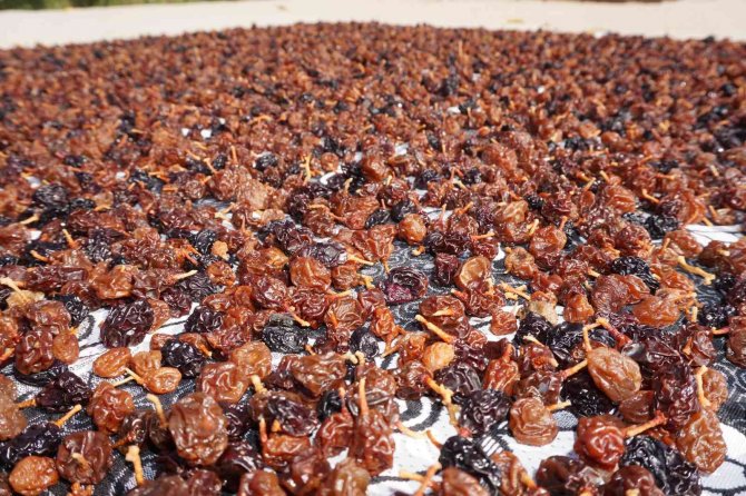 Beytüşşebap’ta Kış Öncesi Meyveler Kurutulup, Salçalar Yapıldı