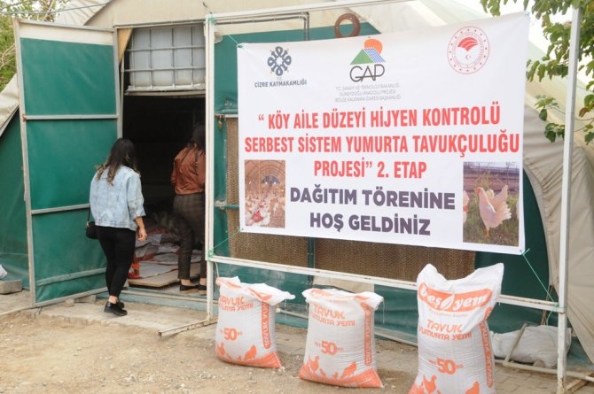 Cizre’de Vatandaşa 2 Bin Tavuk, 24 Bin Ton Yem Dağıtıldı